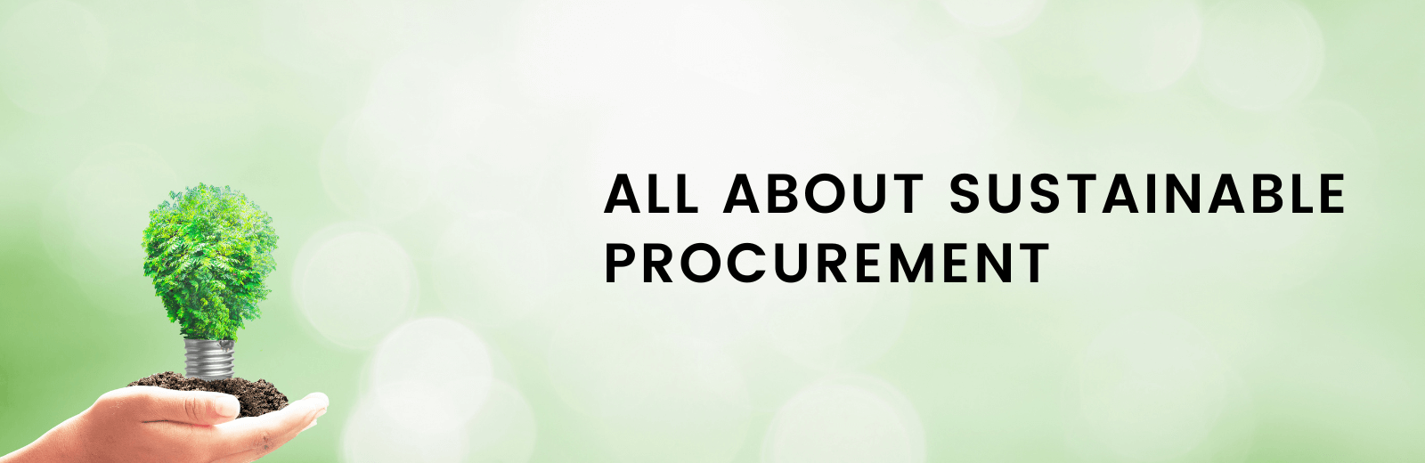 All About Sustainable Procurement & How to Go About It - WudBox