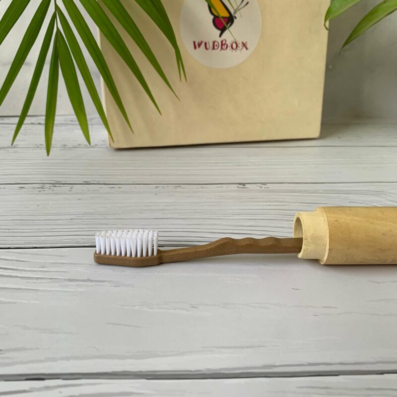 Buy Bulk Pine Needle Toothbrush in India WudBox