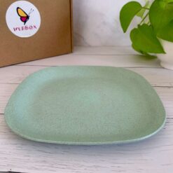 rice husk plate, office eco friendly tableware