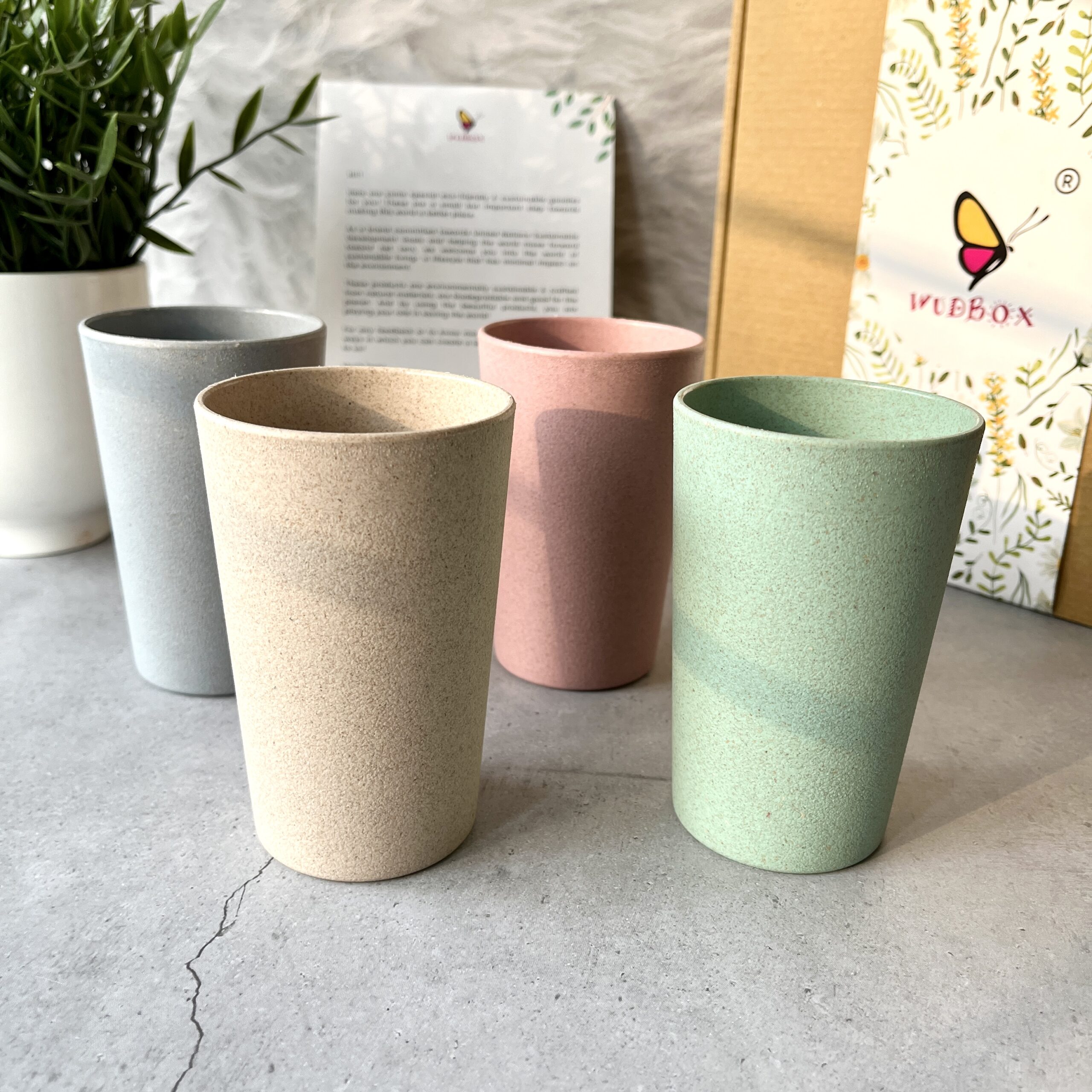 Rice Husk Water Glass - 250 ml and 360 ml